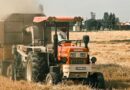 Uttar Pradesh Targets 250% Crop Intensity as World Bank-Backed UP AGREES Project Drives Farm Transformation