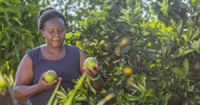 From Genebanks To Farms: Growing Resilient Fruit Trees For Nutrition And Livelihoods