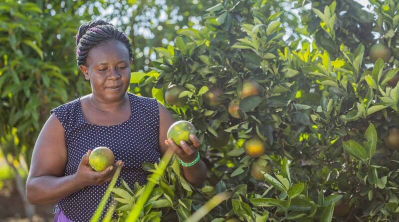 From Genebanks To Farms: Growing Resilient Fruit Trees For Nutrition And Livelihoods