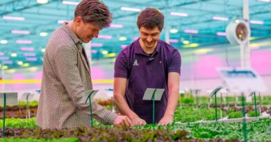 https://www.rijkzwaan.com/en/news/from-data-to-decisions-visit-rijk-zwaan-during-greentech-and-high-tech-weeks