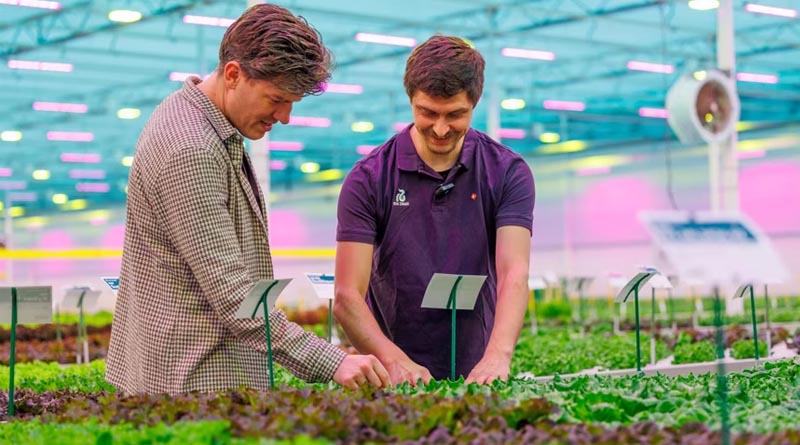 https://www.rijkzwaan.com/en/news/from-data-to-decisions-visit-rijk-zwaan-during-greentech-and-high-tech-weeks