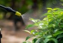 Licensing Process for Household Pesticide Sale and Storage Simplified, Benefiting 40 Lakh Retailers