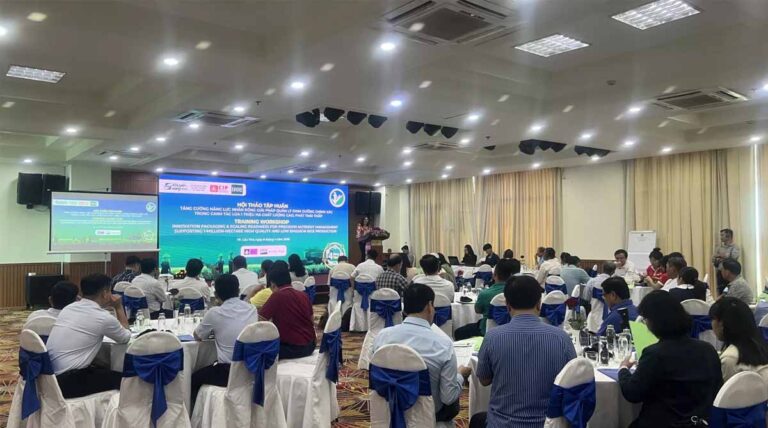 Precision Nutrient Management: A Breakthrough for Rice Farming in Vietnam