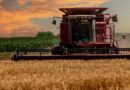 Kansas Wheat Tour Reveals Challenging Conditions Across The State