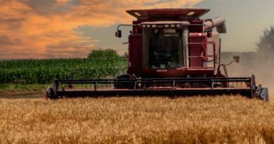 Kansas Wheat Tour Reveals Challenging Conditions Across The State