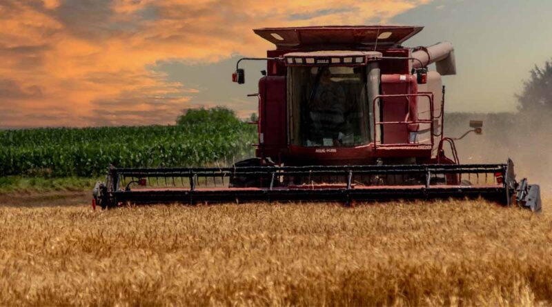 Kansas Wheat Tour Reveals Challenging Conditions Across The State