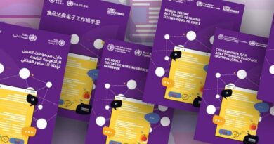 Electronic Working Groups Handbook Now Published In Six Languages