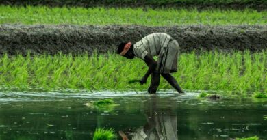 Southwest Monsoon 2026 Likely to Advance Further Over Southern India in Next 3-4 Days: IMD Southwest Monsoon 2026 Likely to Advance Further Over Southern India in Next 3-4 Days: IMD