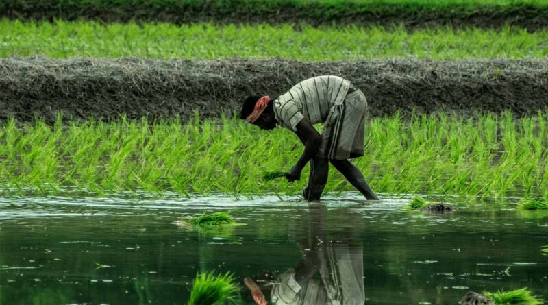 Southwest Monsoon 2026 Likely to Advance Further Over Southern India in Next 3-4 Days: IMD