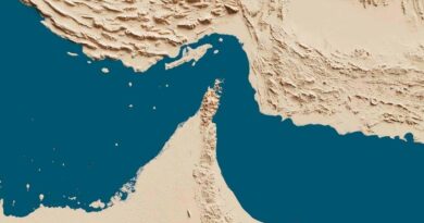 War in the Gulf, Reverberation in the Fields!