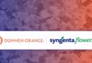 Syngenta Group to Divest Flowers Business into Joint Venture with Dümmen Orange