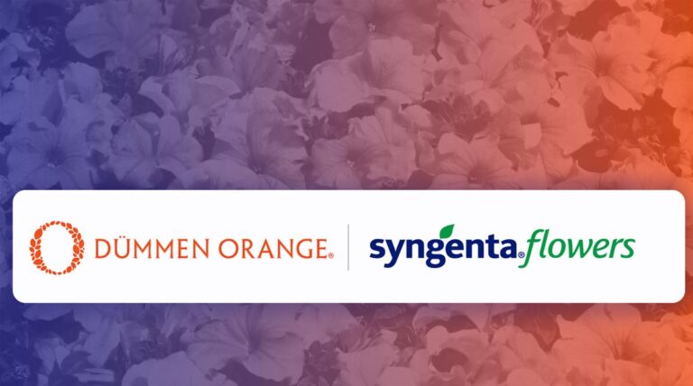 Syngenta Group to Divest Flowers Business into Joint Venture with Dümmen Orange