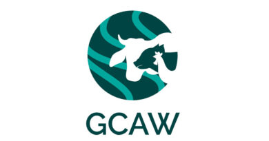 GCAW Launches India Cage-Free Egg Initiative with Industry Partners to Strengthen Supply Chain