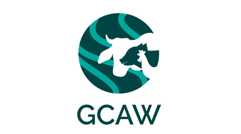 GCAW Launches India Cage-Free Egg Initiative with Industry Partners to Strengthen Supply Chain