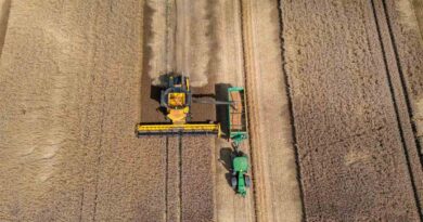 Global Agriculture 2026: Five Forces Reshaping Farming