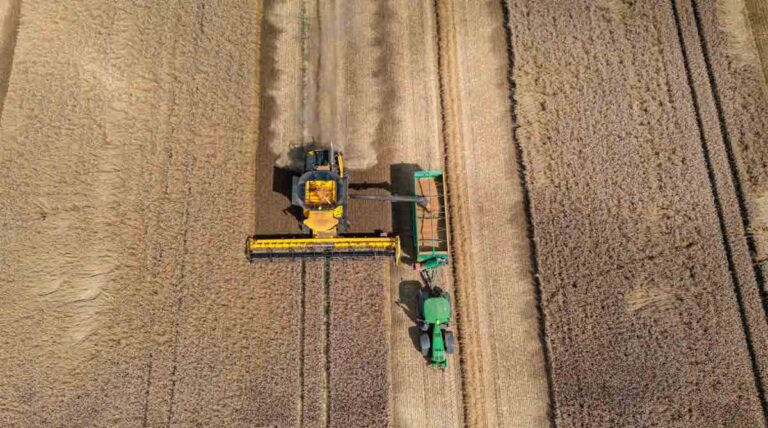 Global Agriculture 2026: Five Forces Reshaping Farming