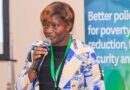 Co-Creating Evidence for Kenya’s Agri-Food Transformation: Launching the CGIAR Policy Innovations Hub