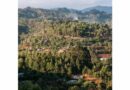 Spatial Analytics across disciplines informs policymaking in Kenya: Dialogue between Alliance and KALRO