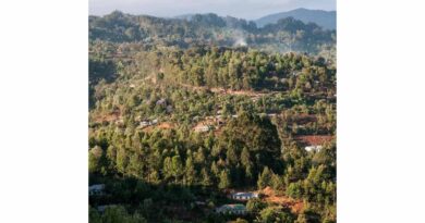 Spatial Analytics across disciplines informs policymaking in Kenya: Dialogue between Alliance and KALRO