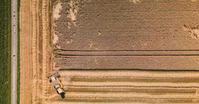 Banned in 74 Countries, Still Sprayed on Millions of Acres