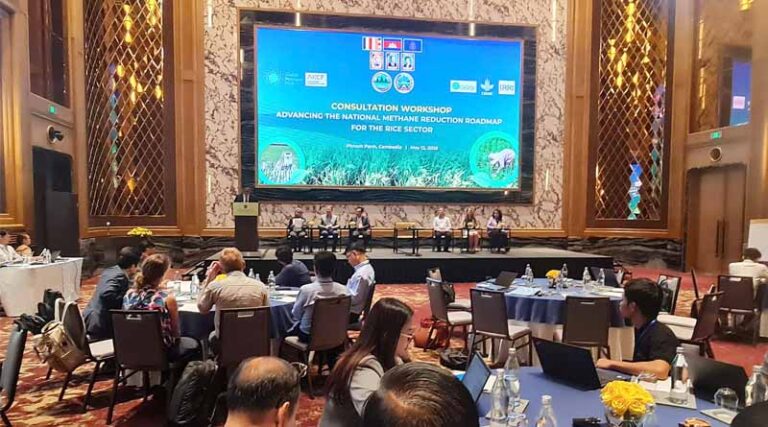 From Research to Implementation: Cambodia Discusses Roadmap to Reduce Methane Emissions in Rice Production