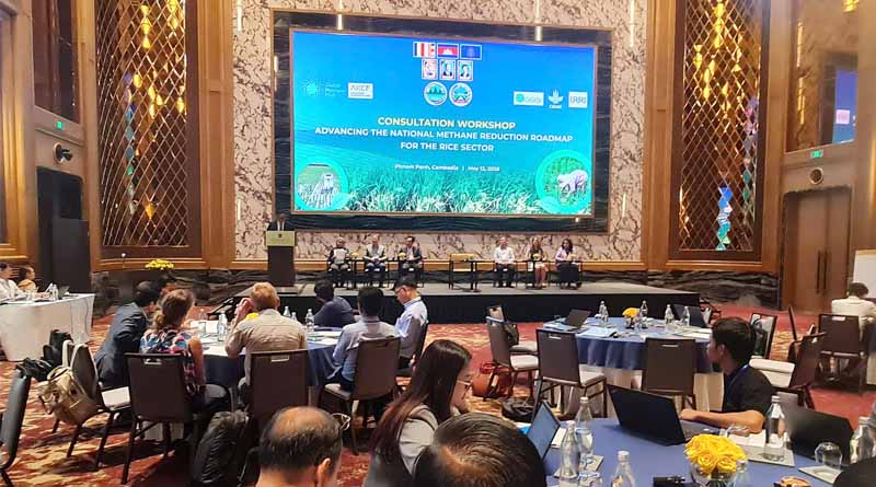 From Research to Implementation: Cambodia Discusses Roadmap to Reduce Methane Emissions in Rice Production