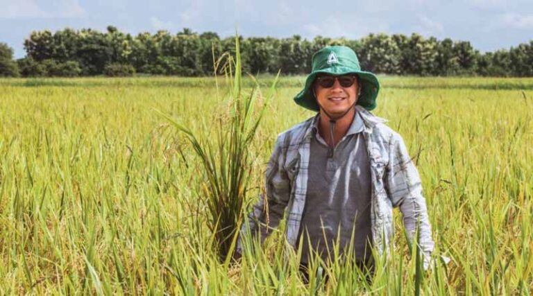How BAZAK® is Helping Rice Growers ‘Stop the Hop’