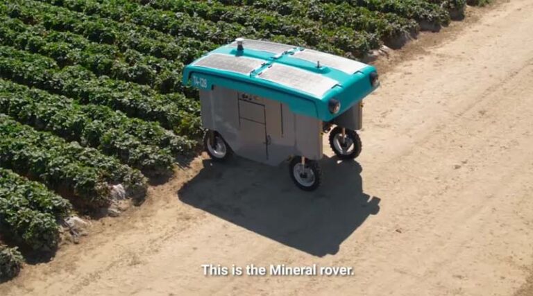 Why Crop Breeding Is Entering An Era Of Collaboration With AI
