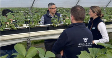 Change In Salt Flushing Approach Pays Big Dividends For Strawberry Grower