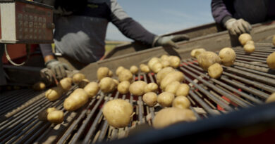 Future Harvest: The European Program Tackling The Decline In Generational Renewal In Farming Future Harvest: The European Program Tackling The Decline In Generational Renewal In Farming