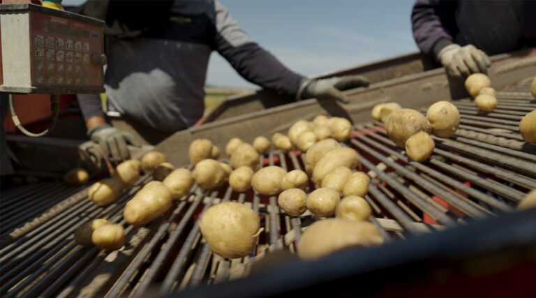 Future Harvest: The European Program Tackling The Decline In Generational Renewal In Farming