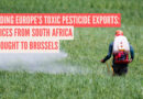 Ending Europe’s Toxic Pesticide Exports: Voices From South Africa Brought To Brussels