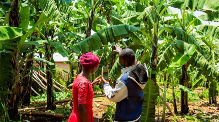 Two Forms of Critical AI Literacy And Why They Matter For Farming Communities