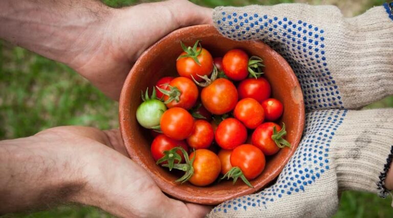 Food Security Strained by Complex, and Sometimes Overlooked, Trade Barriers