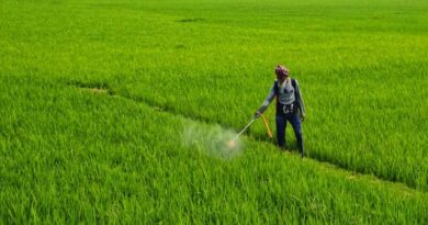 India Approves 12 New Crop Protection Products under Section 9(3) at 471st RC Meeting