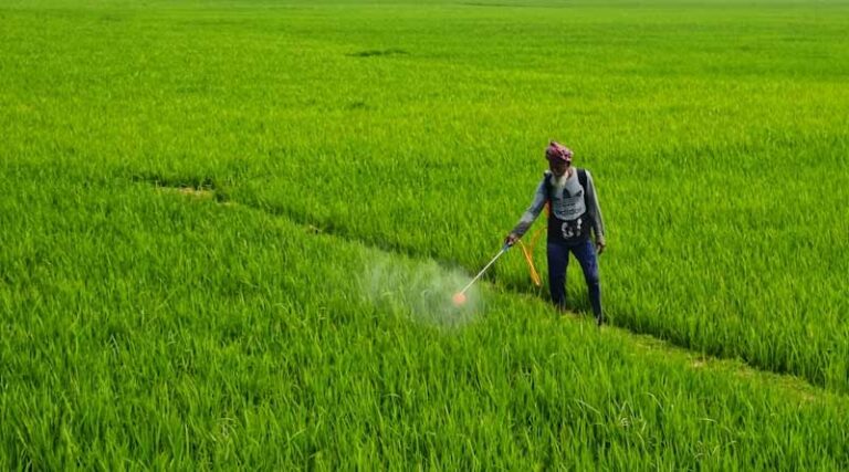 India Approves 12 New Crop Protection Products under Section 9(3) at 471st RC Meeting