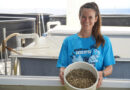 Pacific Hybreed Closes $1 Million Round with Support from Hawaiʻi Angels and Blue Startups to Scale Resilient Shellfish Production