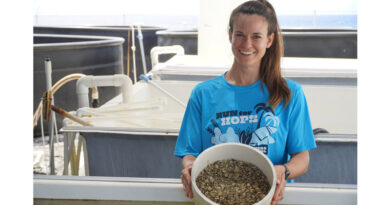 Pacific Hybreed Closes $1 Million Round with Support from Hawaiʻi Angels and Blue Startups to Scale Resilient Shellfish Production