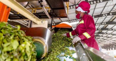 New Report Urges Urgent, Coordinated Financing To Reverse Rising Hunger And Transform Agrifood Systems Across Africa