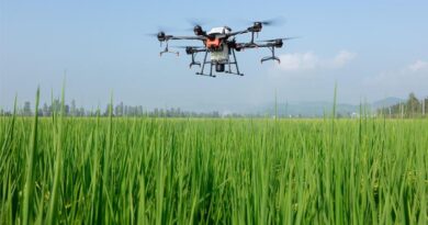 Agrochemical Data Protection in India: Innovation vs Affordability