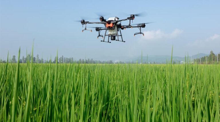 Agrochemical Data Protection in India: Innovation vs Affordability