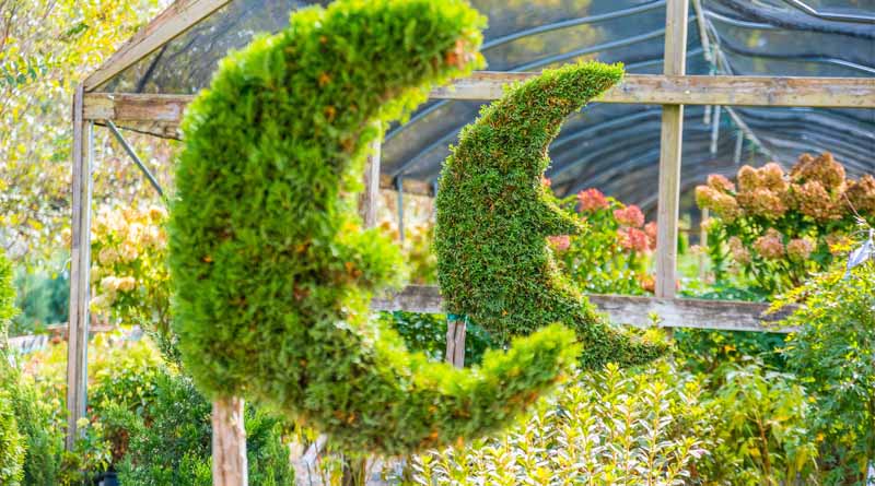 Moon Valley Nurseries Debuts Third Tennessee Location in Hendersonville