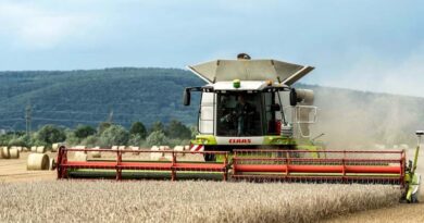 Brazil Fertilizer Prices May Increase Further, Worst Cost-to-Grain Ratio in 20 Years