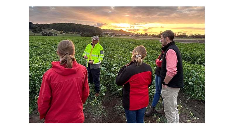 Exploring Innovation Across Horticulture In Tasmania