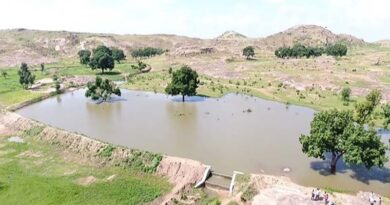 Reviving Water, Restoring Landscapes: Livelihoods Improved After Six Years of Measurable Change in Central India ​