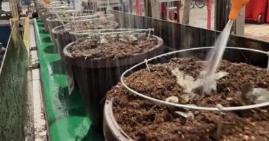 Nurseries Fighting Pests Back with Bio Blend
