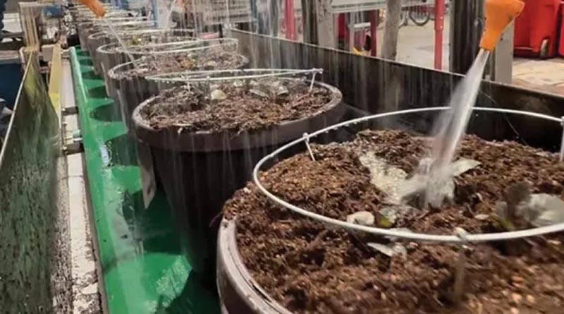 Nurseries Fighting Pests Back with Bio Blend