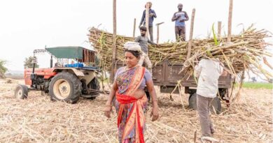 India’s Draft Sugarcane Control Order 2026 Raises Concerns Over FRP Calculation and Cost of Production