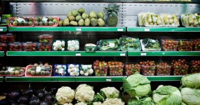 FAO Report Calls For Robust Risk Assessment For Recycled Plastic Food Packaging FAO Report Calls For Robust Risk Assessment For Recycled Plastic Food Packaging