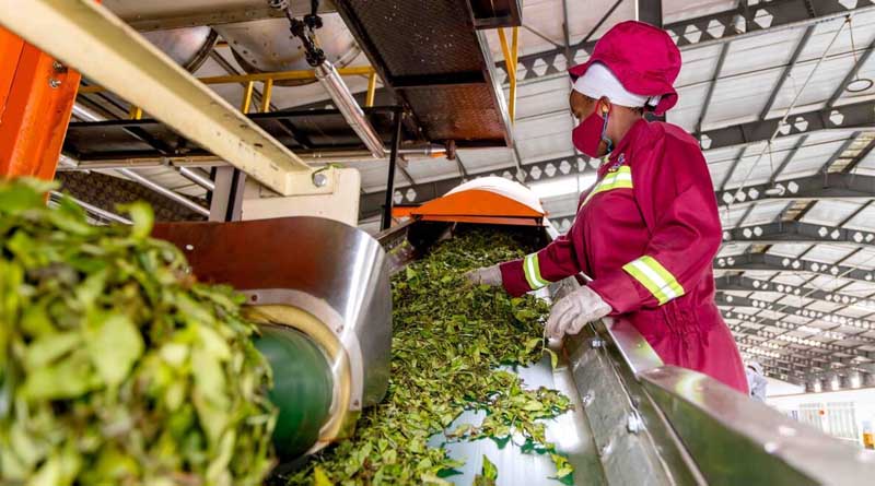 New Report Urges Urgent, Coordinated Financing To Reverse Rising Hunger And Transform Agrifood Systems Across Africa